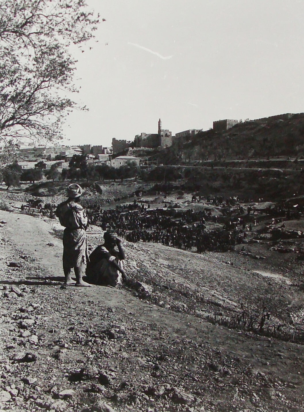 Photo Print Palestine MATSON Pre 1918 Israel Jerusalem Sultan Pool
