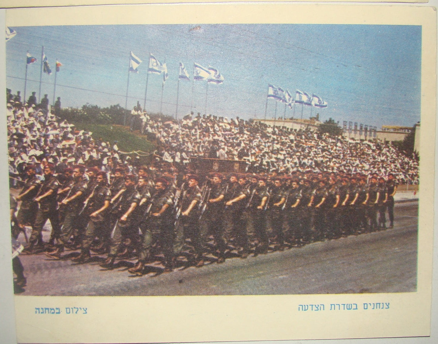 Israel Army Card Jewish Hebrew IDF Military Vintage Postcard Lot Photo Soldiers