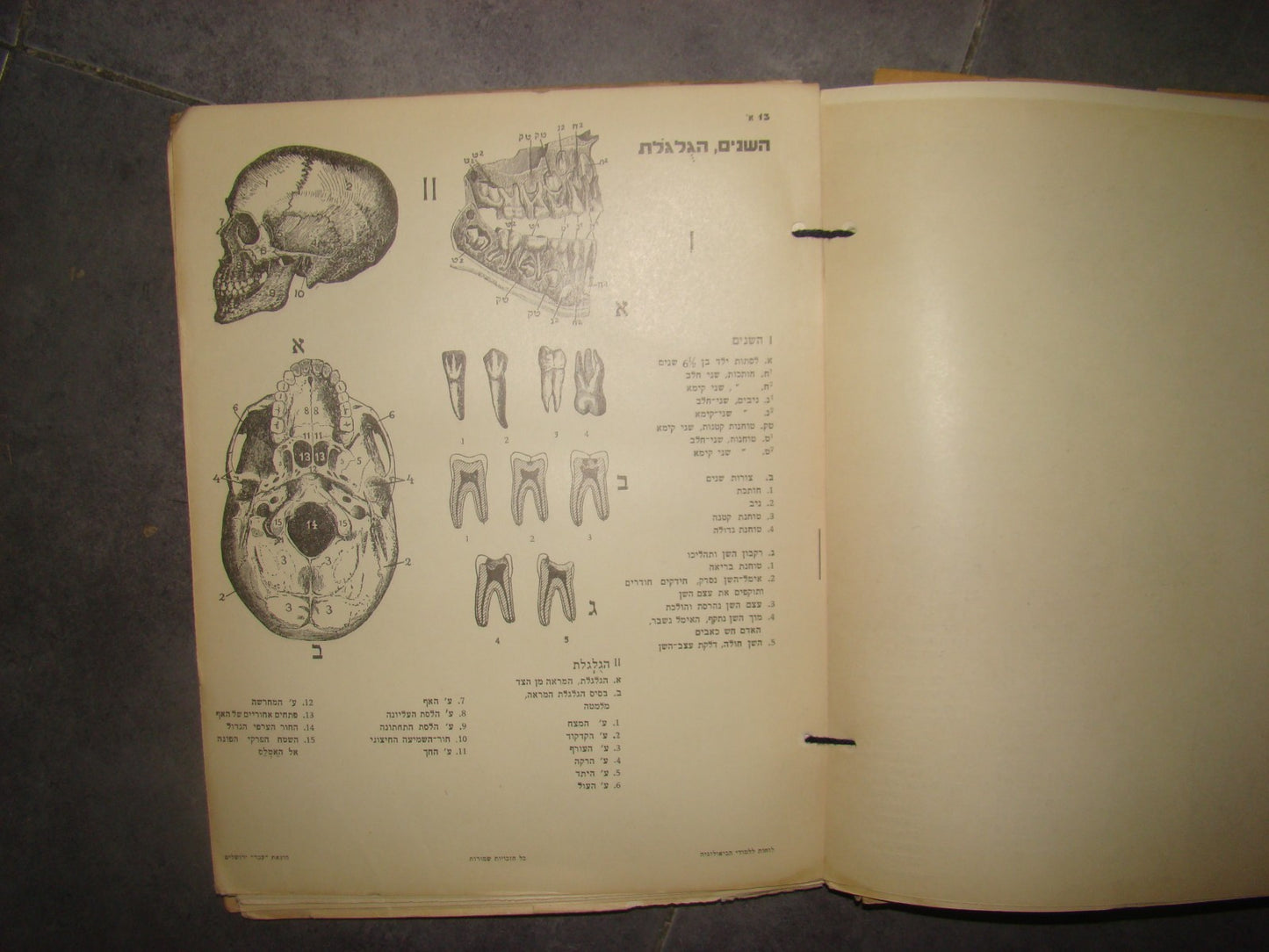 Book Jewish hebrew palestine eretz israel Biology Atlas by Ever Science Zvi Lev