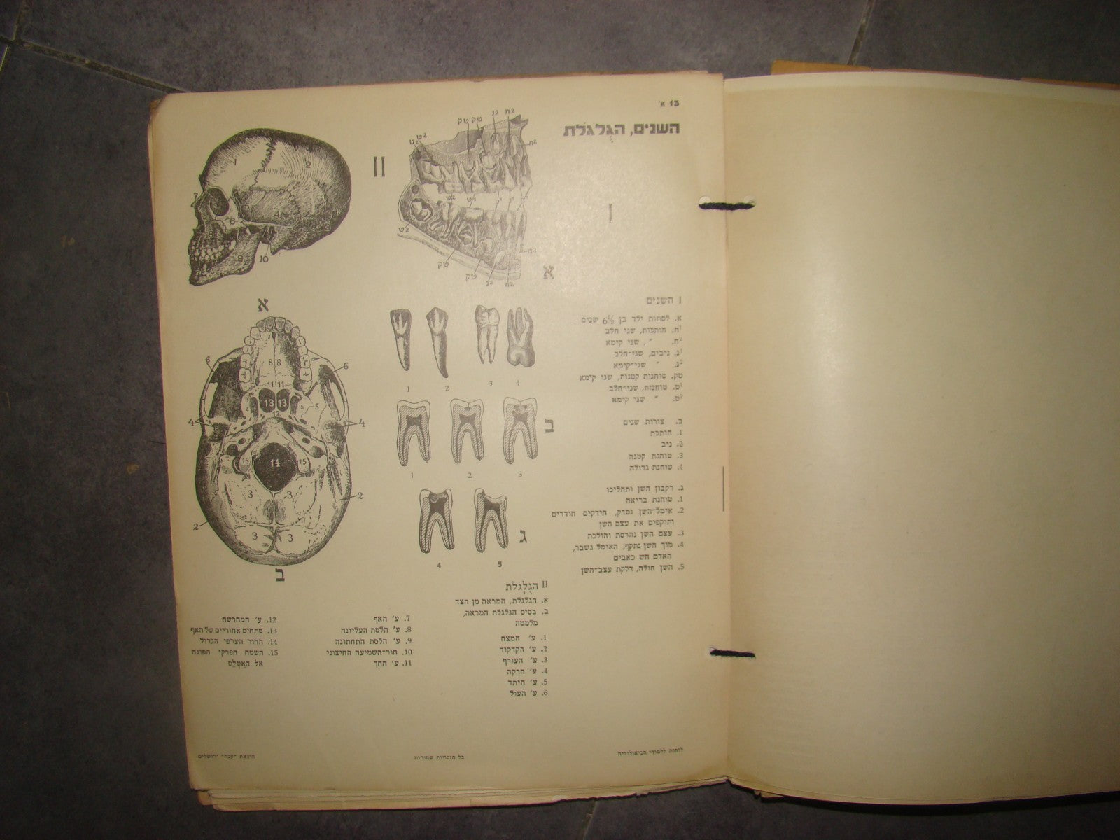 Book Jewish hebrew palestine eretz israel Biology Atlas by Ever Science Zvi Lev