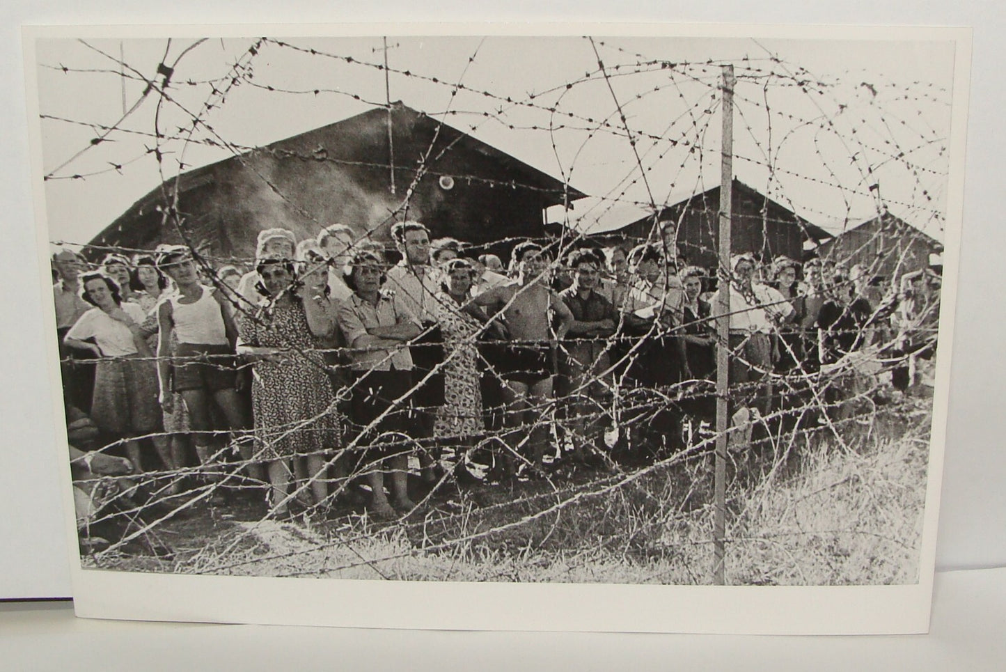 Photo Print, 1940s Jewish Zionist Atlit detainee camp Palestine tim gidal