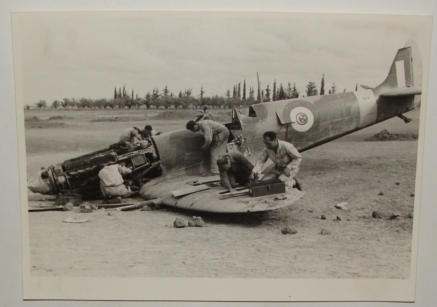 Photo Print Jewish Israel Army Israel Military 1948 Independence War Egypt