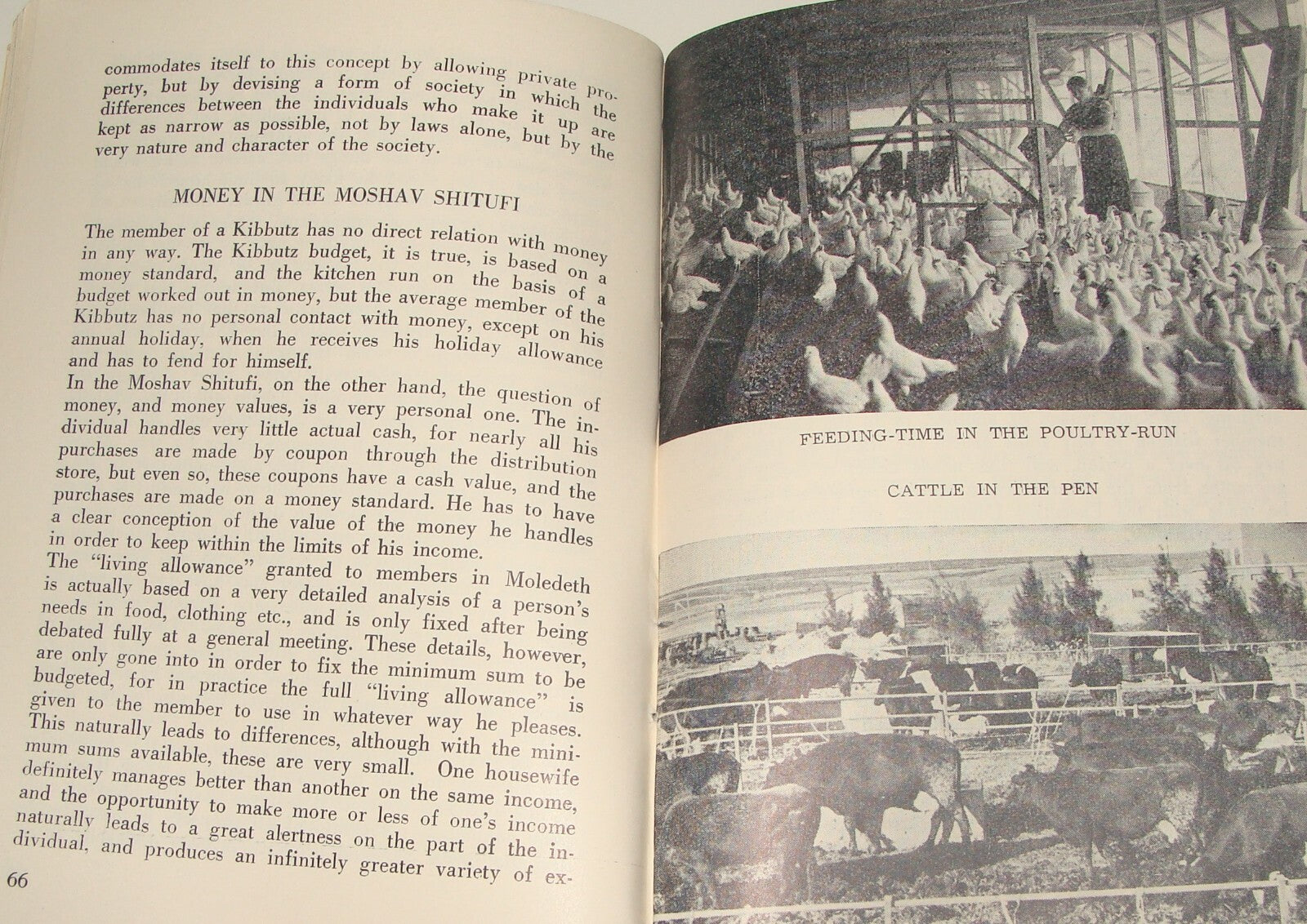 Book Jewish Judaica 1949 Moshav Moledet Bnei Brith Feitelberg Zionist Settlement