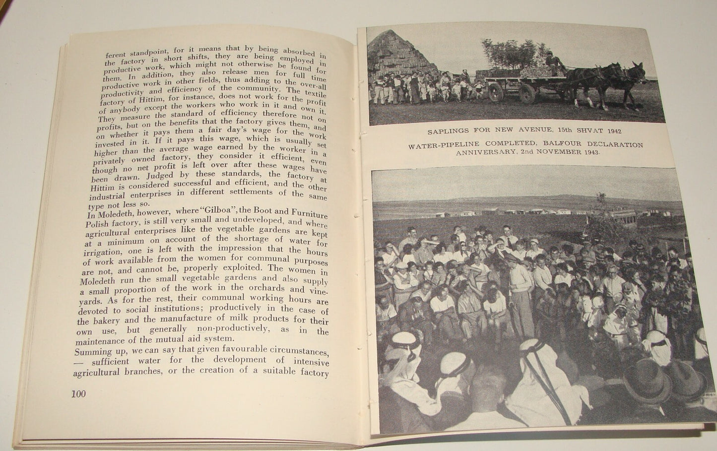 Book Jewish Judaica 1949 Moshav Moledet Bnei Brith Feitelberg Zionist Settlement