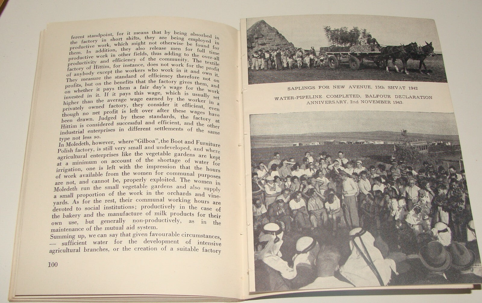 Book Jewish Judaica 1949 Moshav Moledet Bnei Brith Feitelberg Zionist Settlement