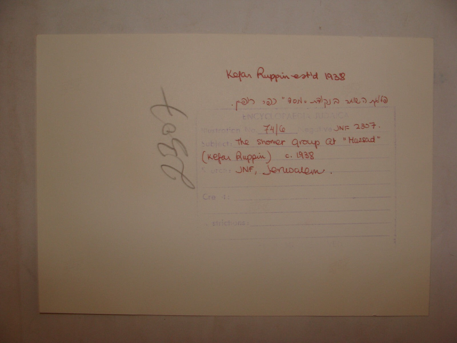 Photo Print, 1938 Palestine Israel KIBBUTZ KFAR RUPPIN Jewish HASHOMER Hebrew