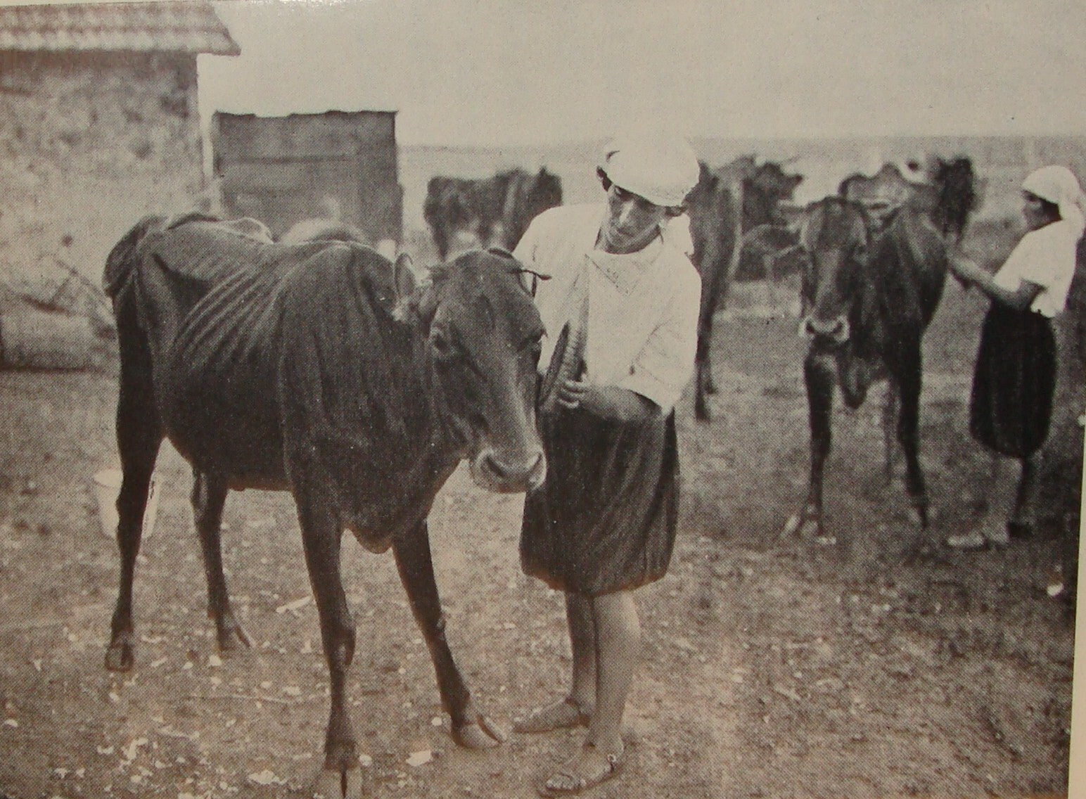 Book Jewish Judaica 1931 Palestine Israel Yiddish Zionist Women Rachel Ben Zvi