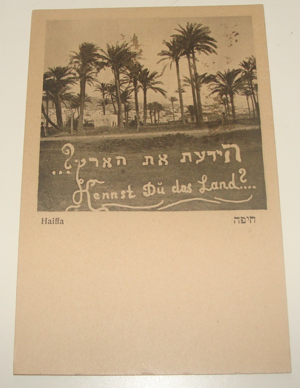 Photo Palestine Card Jewish Judaica 1910s Israel HAIFA Postcard Ben Dov