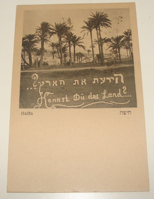 Photo Palestine Card Jewish Judaica 1910s Israel HAIFA Postcard Ben Dov