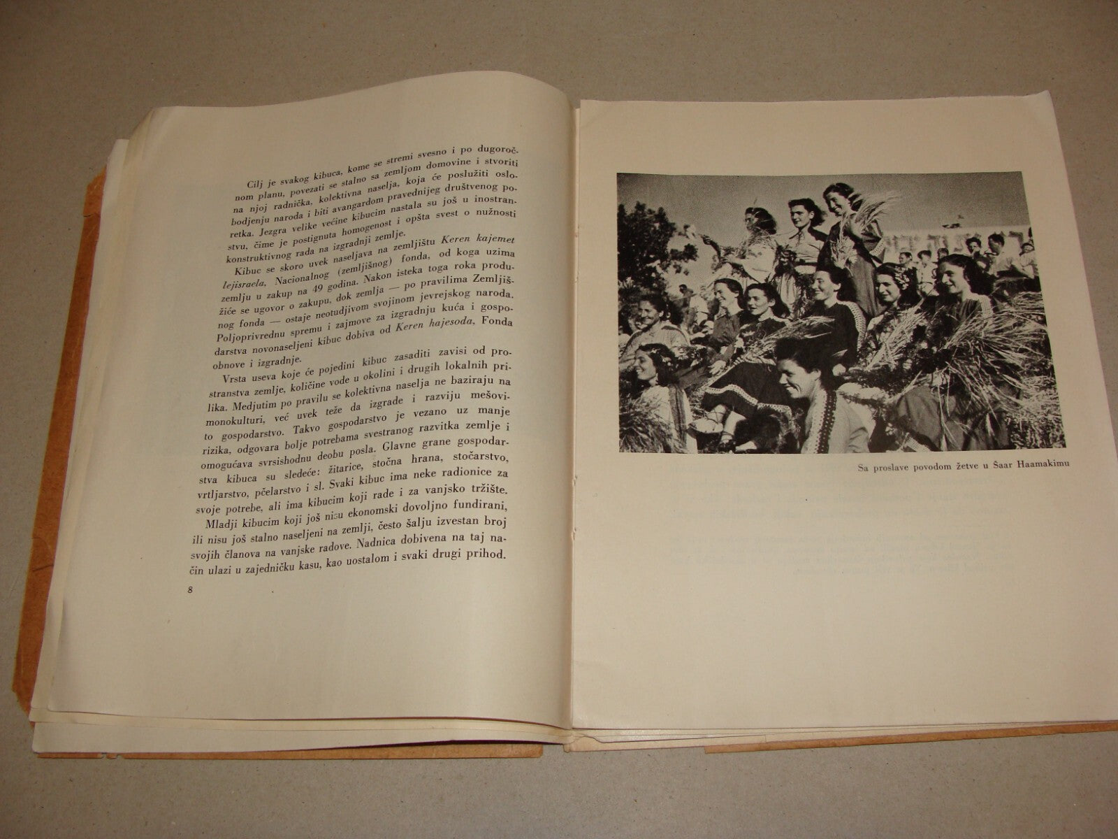 Pamphlet Palestine Map 1947 Zionist Jewish Hebrew Israel Kibbutz Bosnian Photo