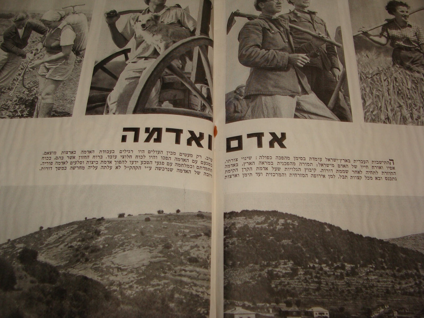 Booklet Palestine National Fund RARE 1941 Jewish Israel Zionist Ussishkin Hebrew