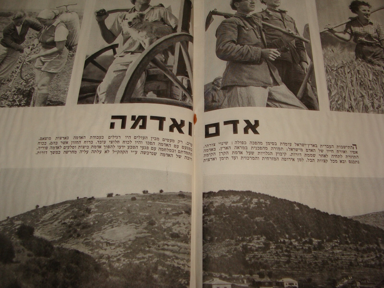 Booklet Palestine National Fund RARE 1941 Jewish Israel Zionist Ussishkin Hebrew