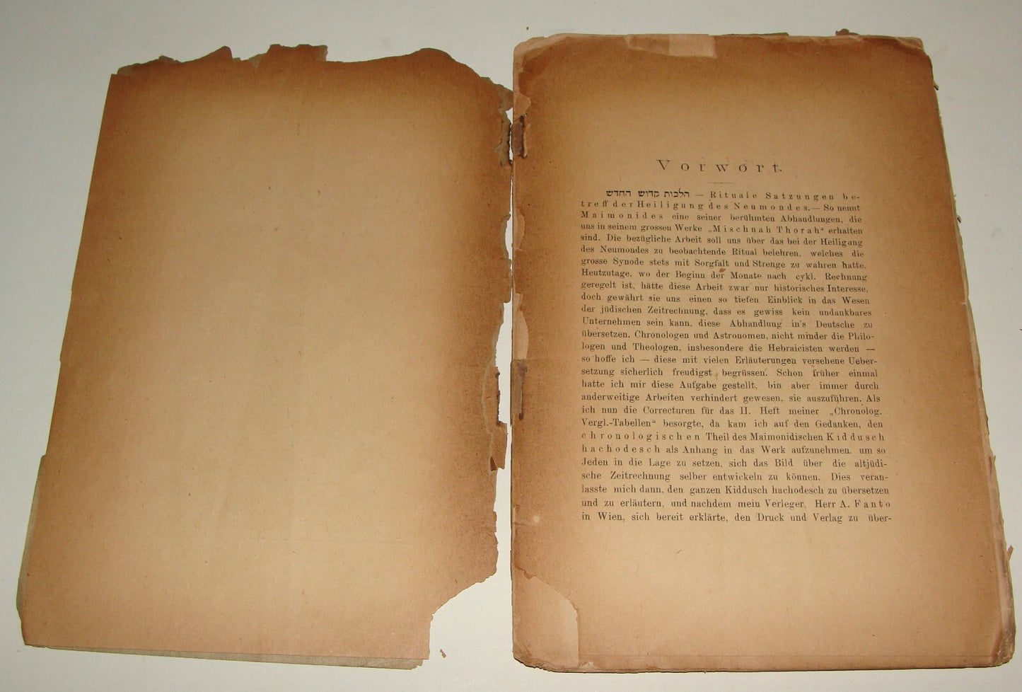 Germany Book Jewish RARE Judaica 1889 German Rabbi Maimonides Astronomy MAHLER