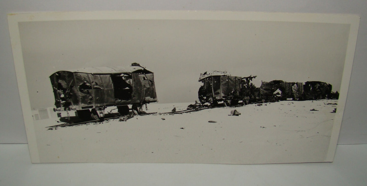 Photo Palestine Ad By ZEV RADOVAN Israel Sinai War WW1 Remains Ottoman Made