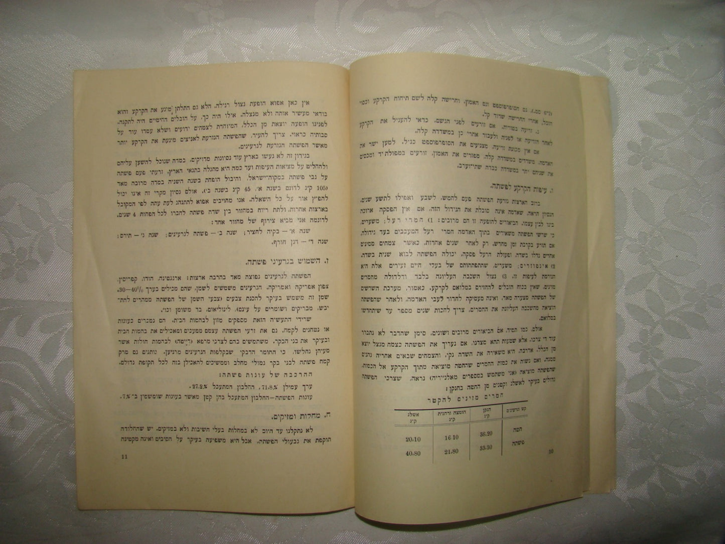 Book Jewish Hebrew Palestine Israel 1928 Agriculture Zionist Settlement Company