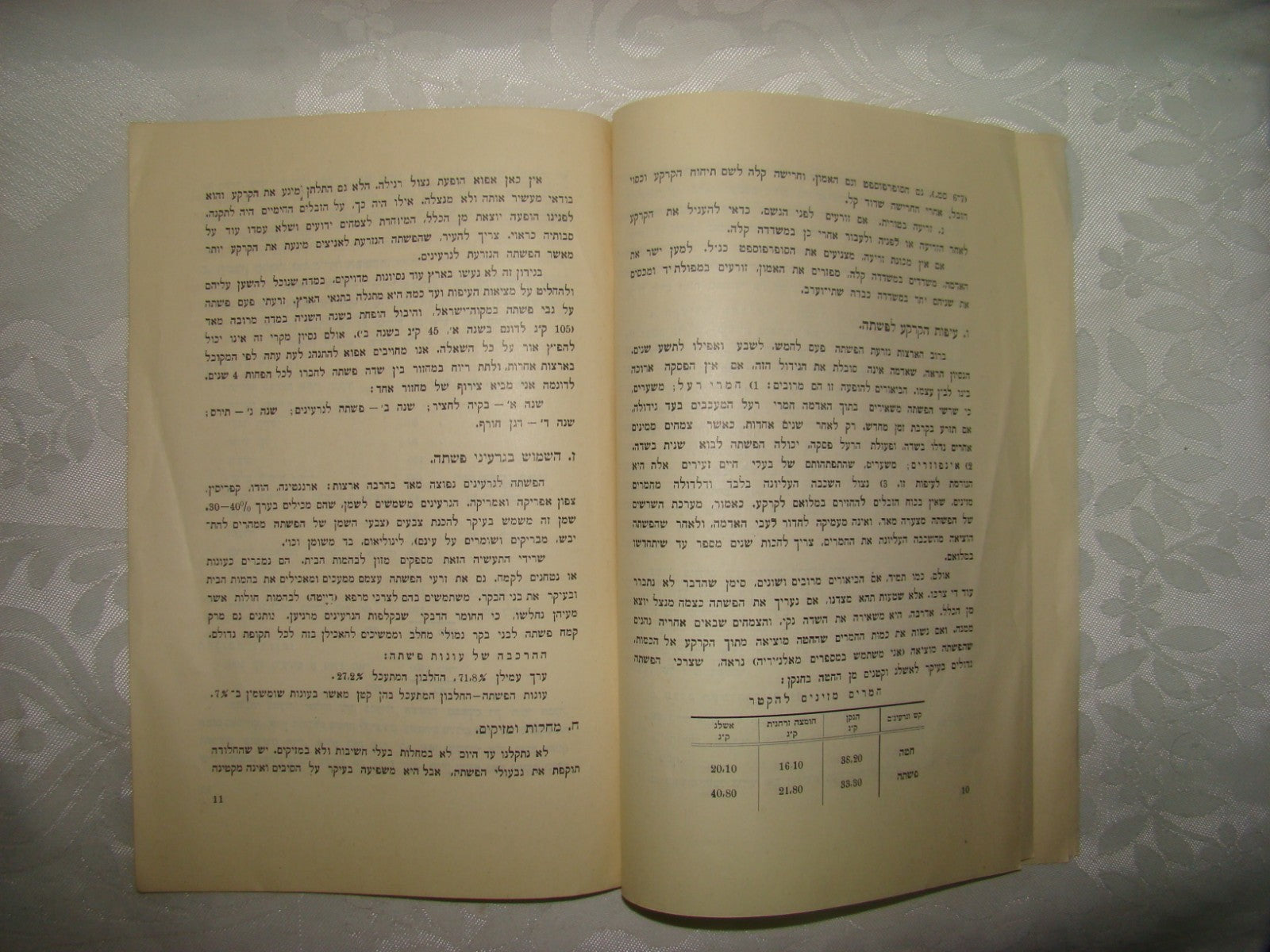 Book Jewish Hebrew Palestine Israel 1928 Agriculture Zionist Settlement Company