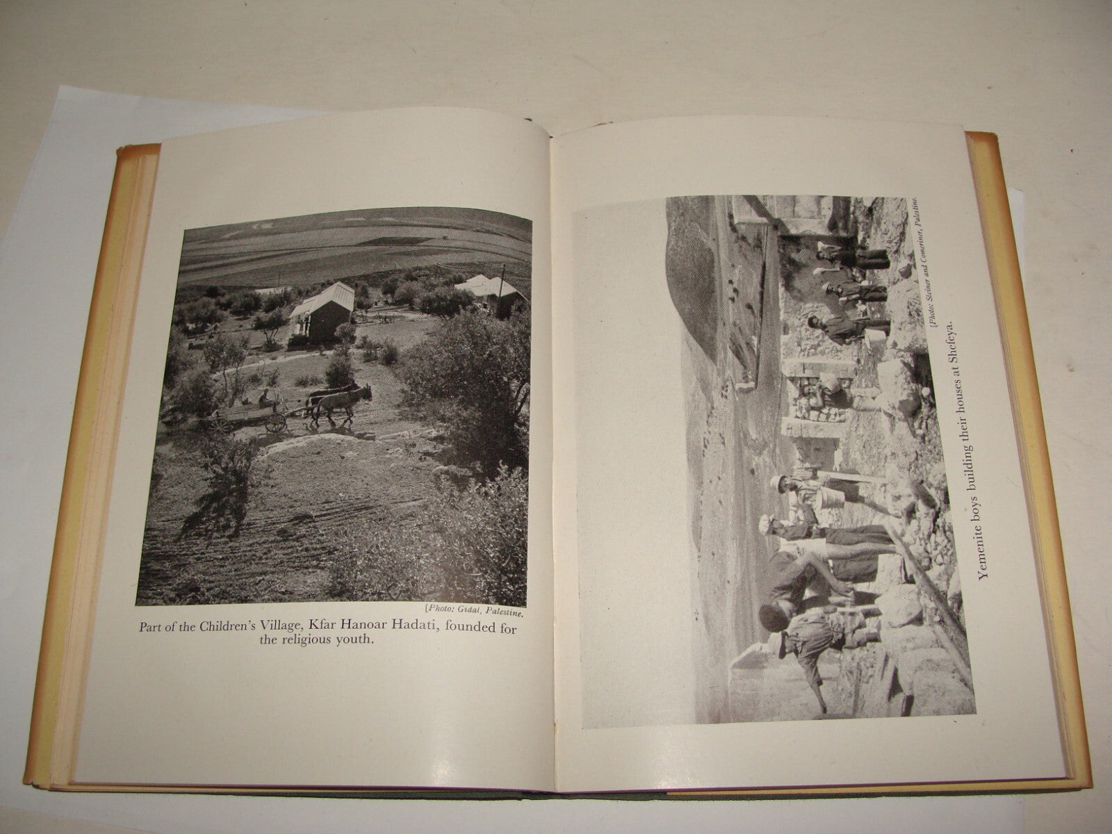 Book Jewish Zionism 1944 YOUTH COMES HOME Palestine Israel Immigration Pioneers