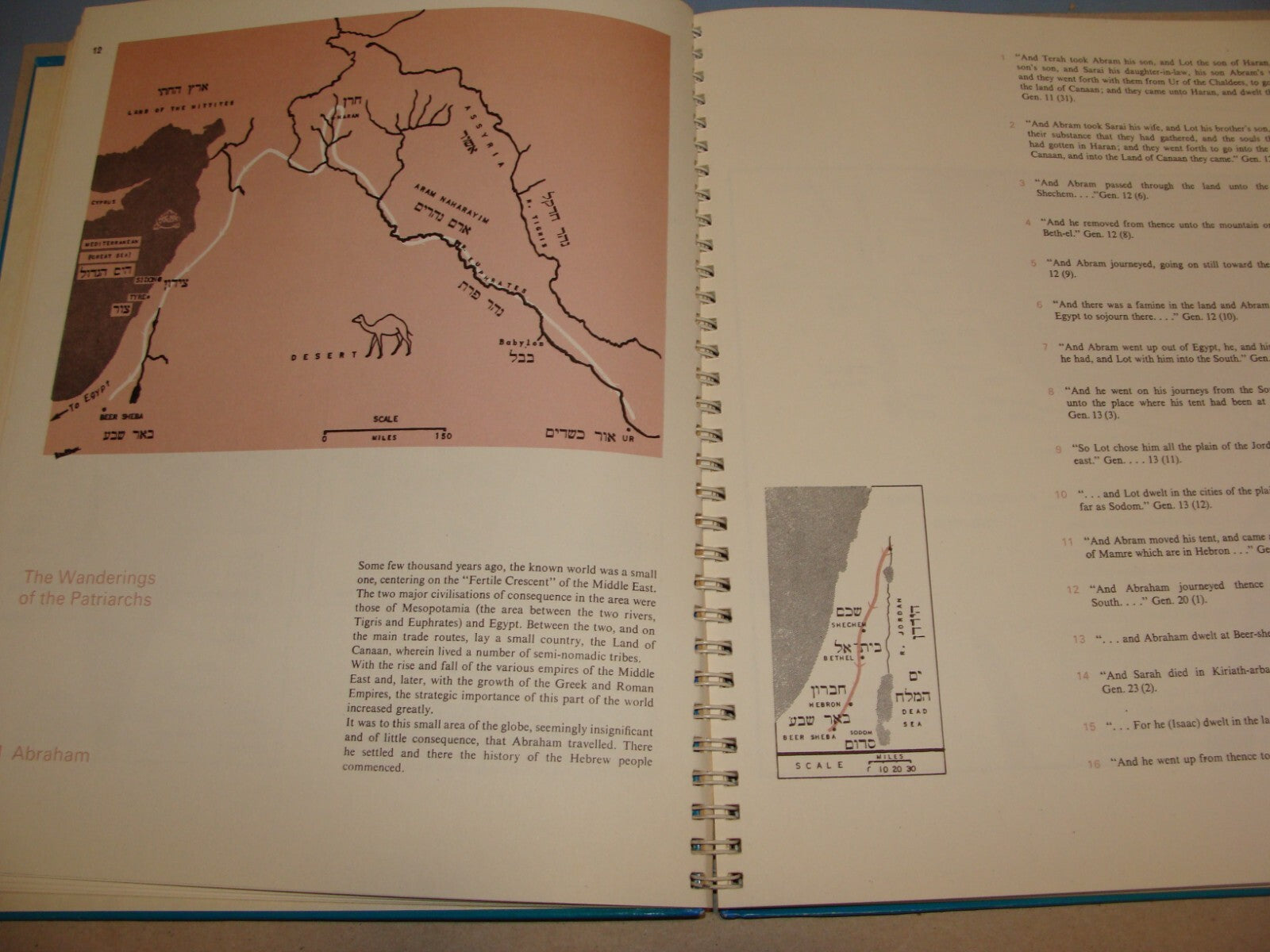 Jewish Judaica 1977 JOURNEYS OF THE CHILDREN OF ISRAEL Book Map Bible Guide