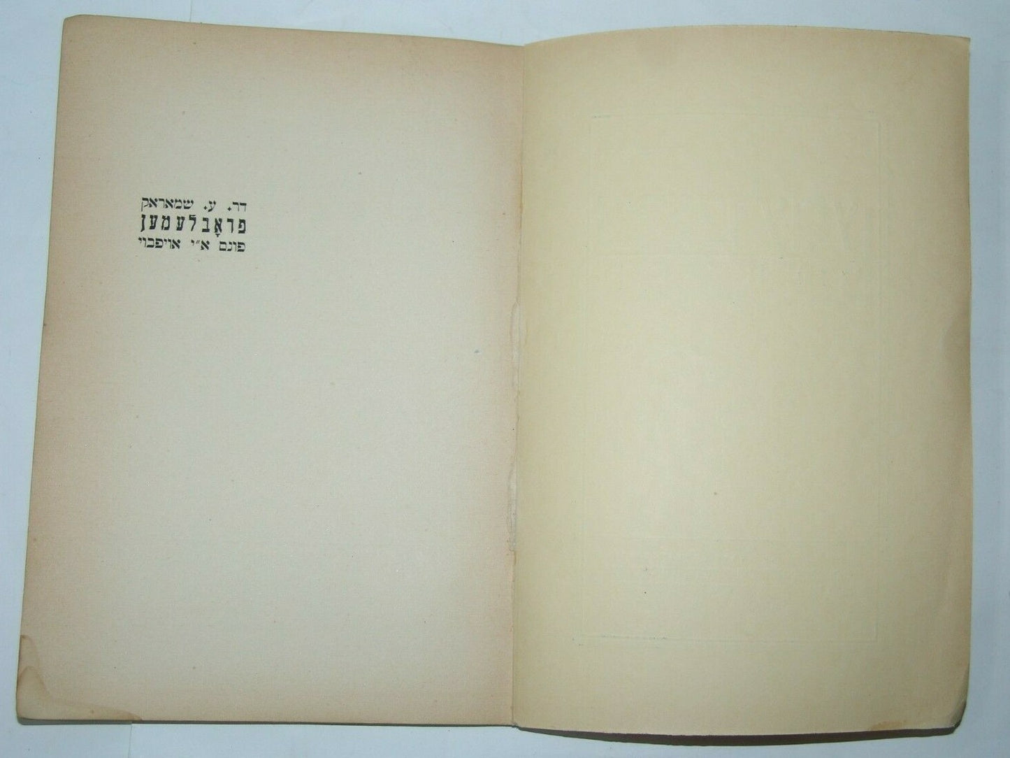 Book Jewish Judaica zionist zionism Leviv Poland Ukraine 1935 yiddish