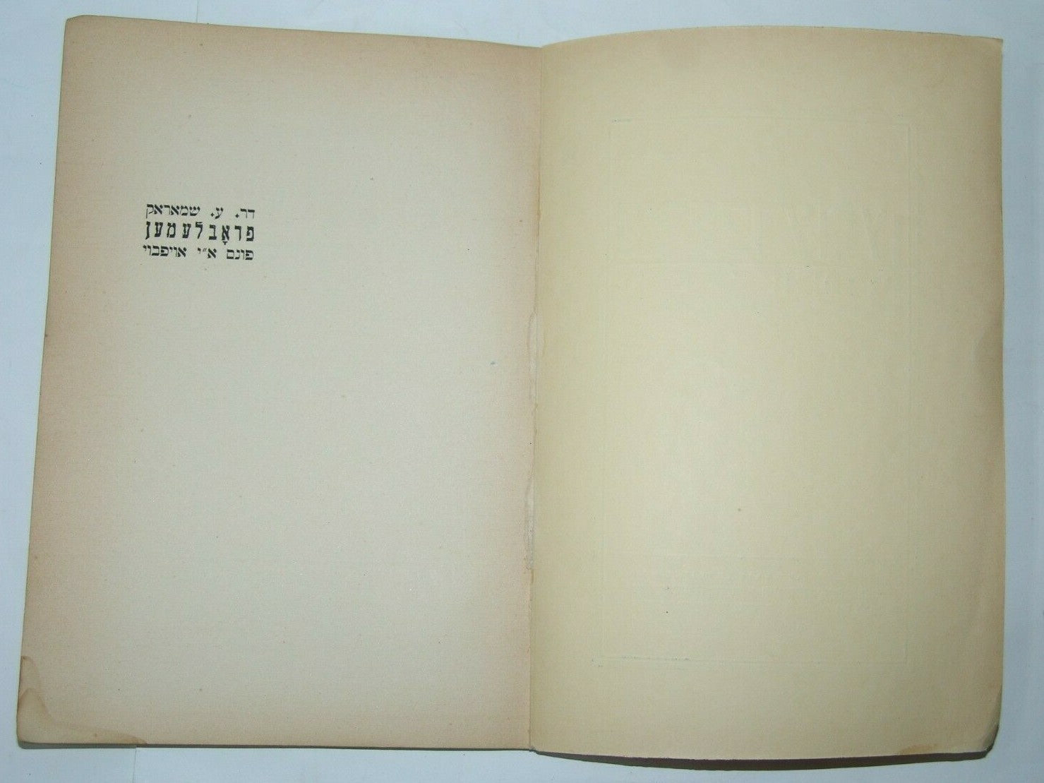Book Jewish Judaica zionist zionism Leviv Poland Ukraine 1935 yiddish
