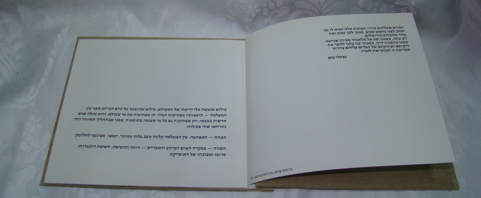 Book Jewish Judaica Israel Israeli Artist Naftali Bezem נפתלי בזם Art 1980
