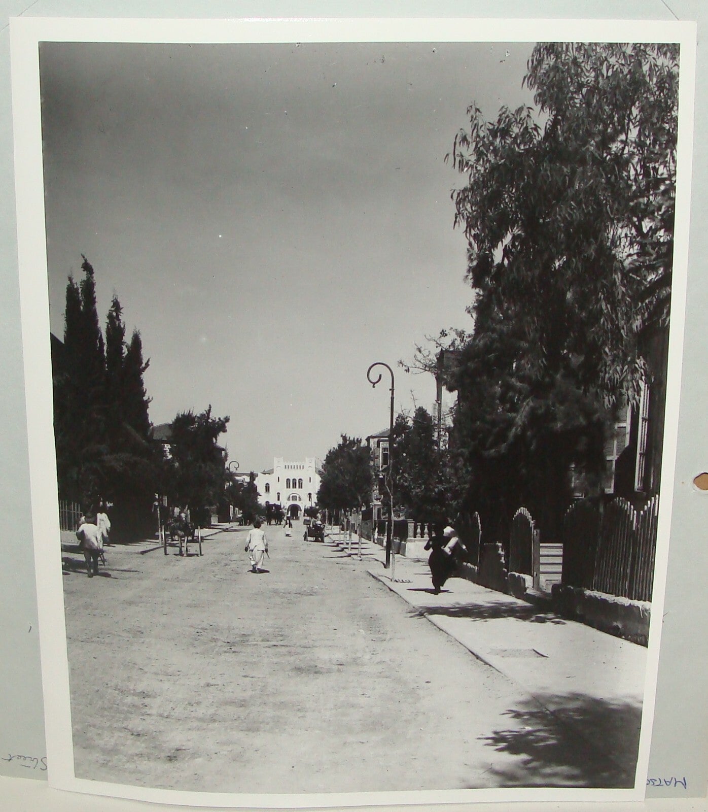 Photo Print, Jewish 1920s Palestine Israel Tel Aviv Herzl Avenue Street MATSON