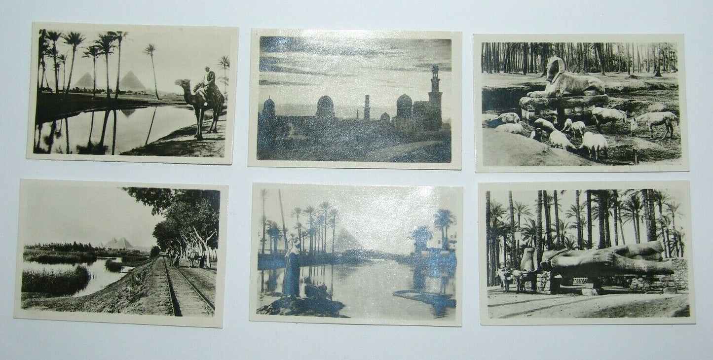 Egypt Cairo Tour Tourist photos Nile Saqqara Sphinx Rameses Statue Gizeh Pyramid