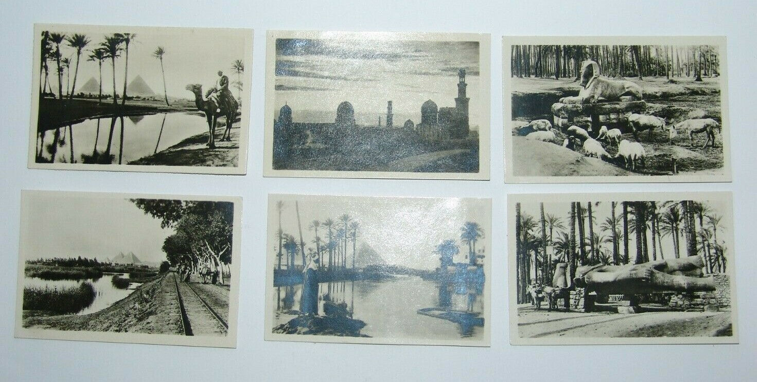 Egypt Cairo Tour Tourist photos Nile Saqqara Sphinx Rameses Statue Gizeh Pyramid