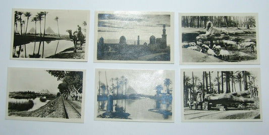 Egypt Cairo Tour Tourist photos Nile Saqqara Sphinx Rameses Statue Gizeh Pyramid