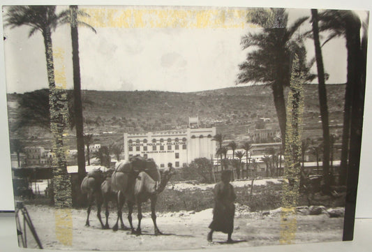 Photo Print Palestine 1920s Israel HAIFA Flour Mills Company BEN DOV