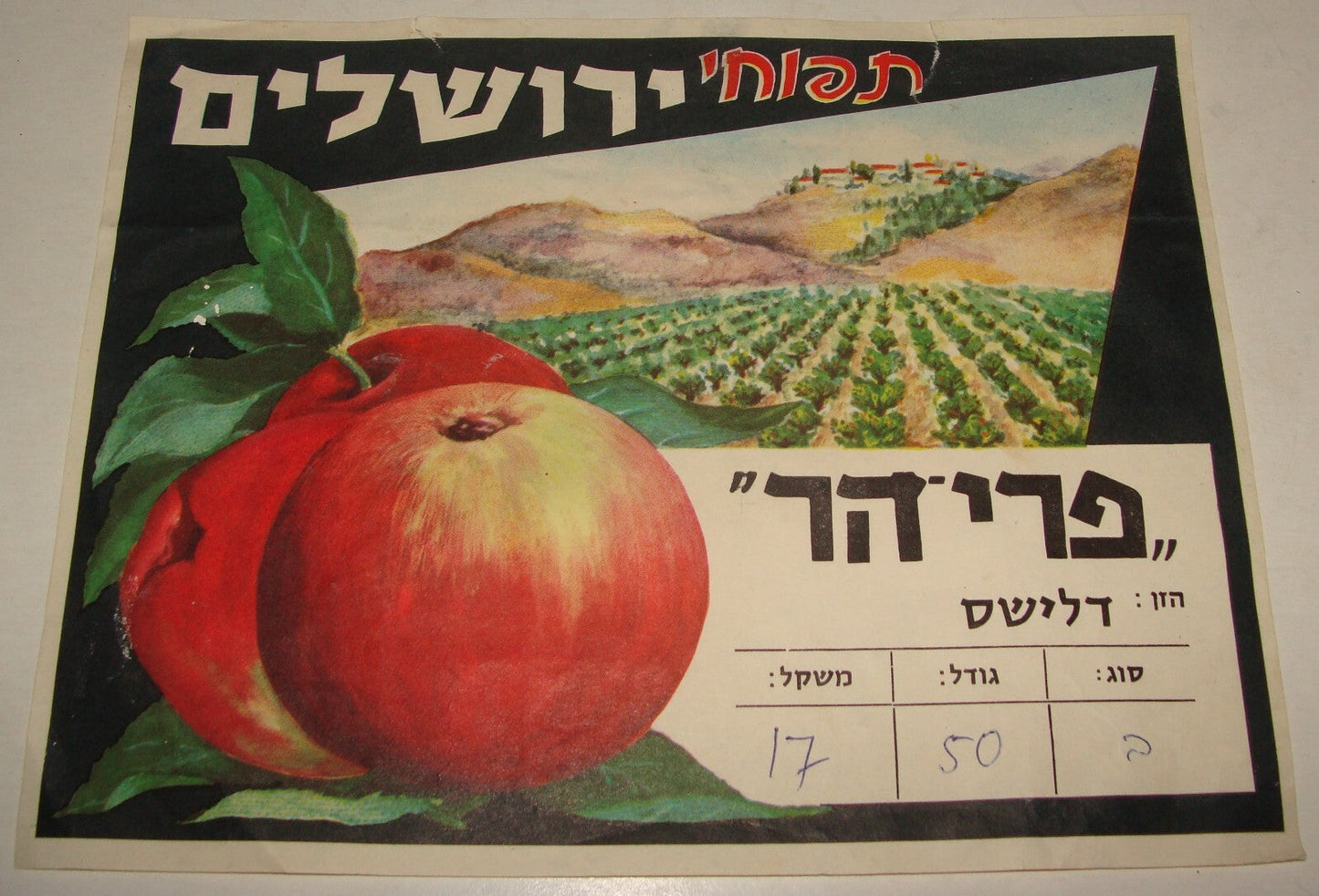Israel Israeli Vintage Hebrew Food Fruit Apples Jerusalem Box Pack Label 196?