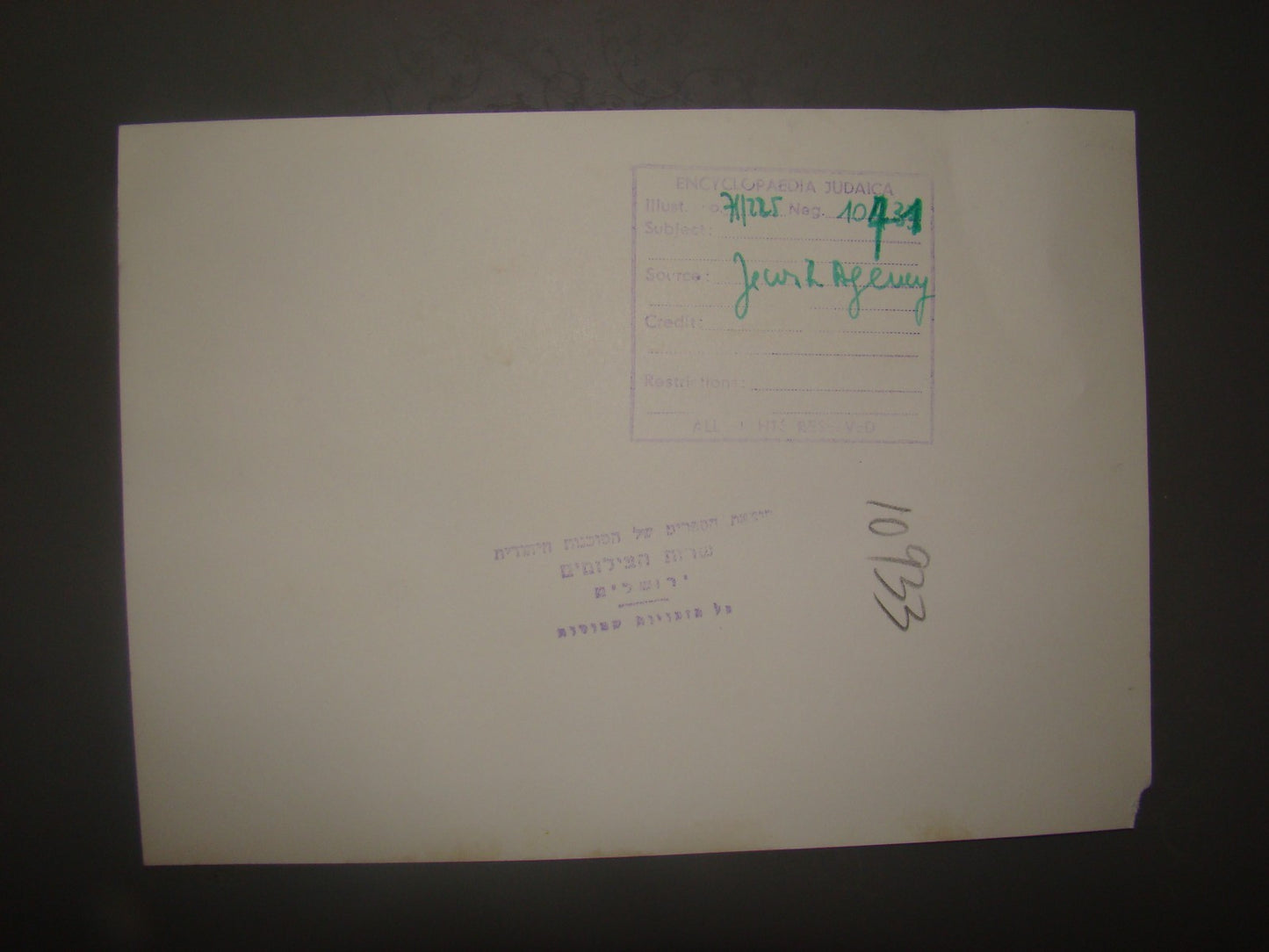 Map Jewish 1930 Agency Photo Zionist Ahdut HaAvoda Hapoel HaTzair Political