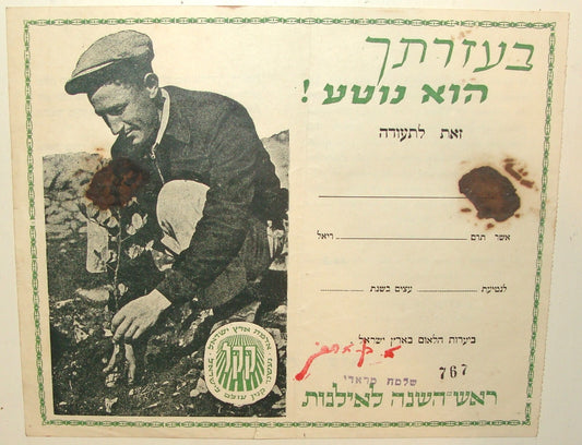 National Fund Jewish RARE Judaica Morocco Moroccan Hebrew Certificate Tree Fund
