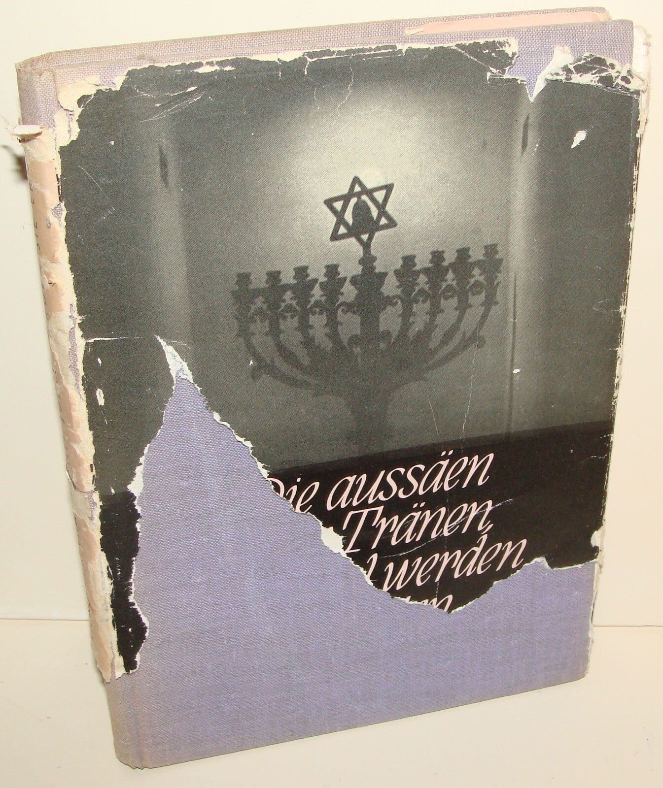 Book Jewish Judaica Post WWII Holocaust Czechoslovakia Jews German Photos
