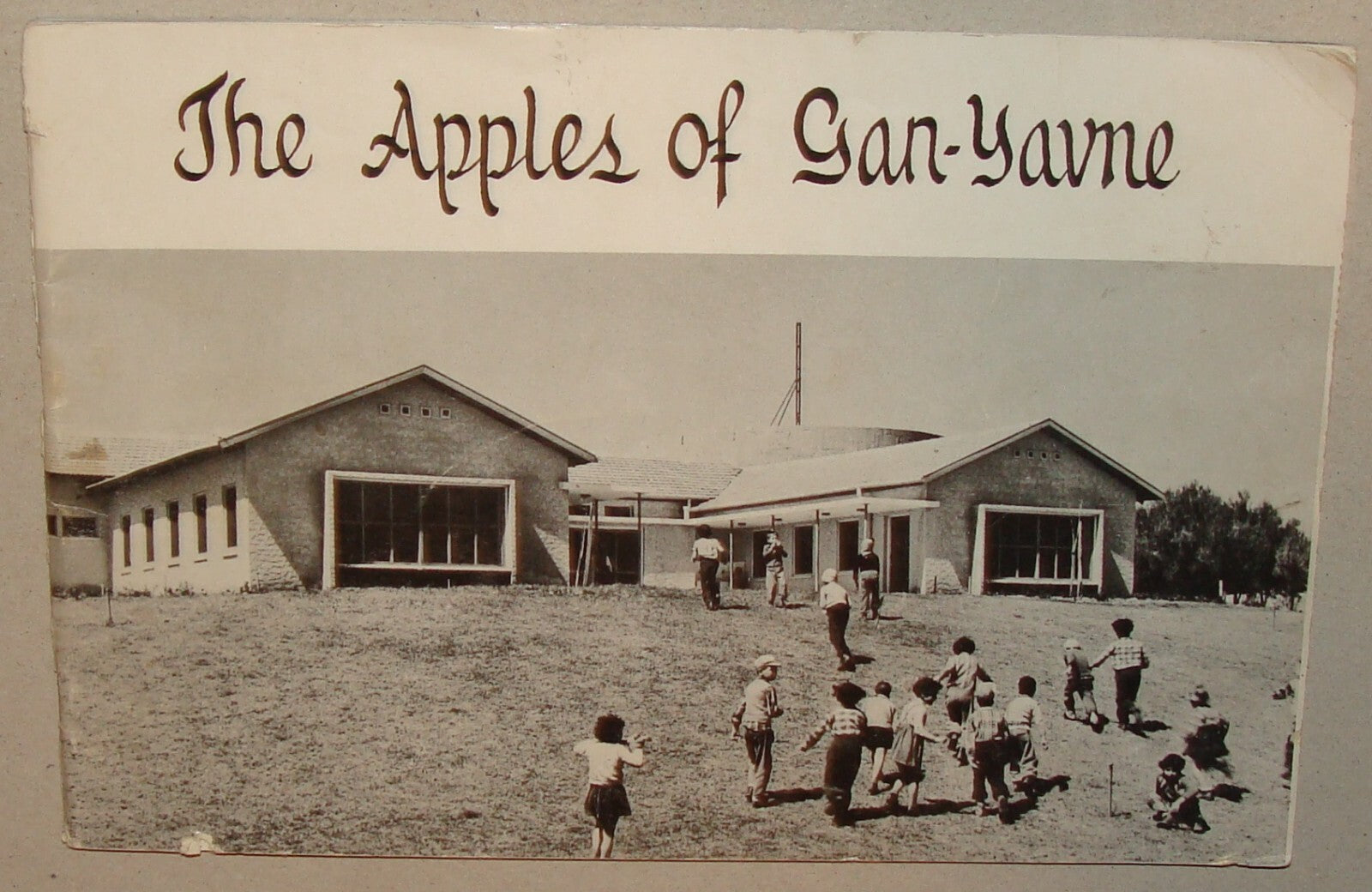 Pamphlet Jewish 1950 Israel Israeli APPLES OF GAN YAVNE Photo Zionist Yemenite