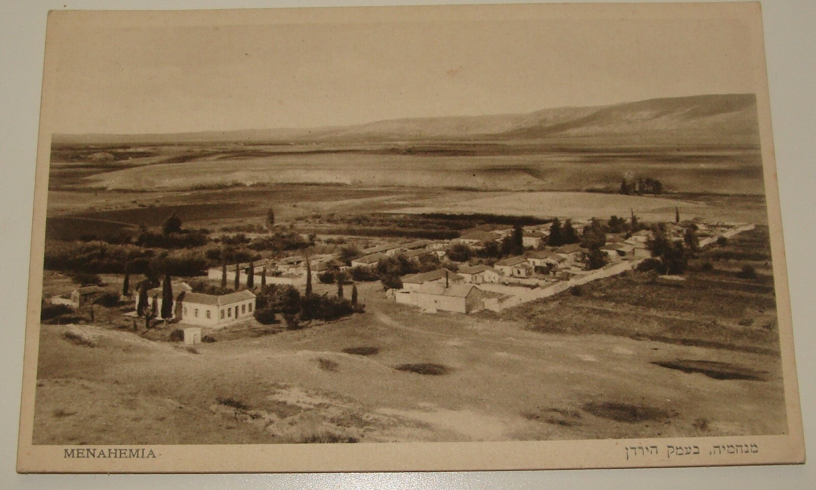 Photo Palestine Card Jewish Israel Israeli Postcard Moshav Moshava MENAHEMYA