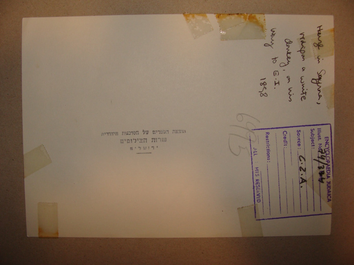 Photo Print, 1898 HERZL Zionist Delegation To Palestine Israel Port Said Donkey