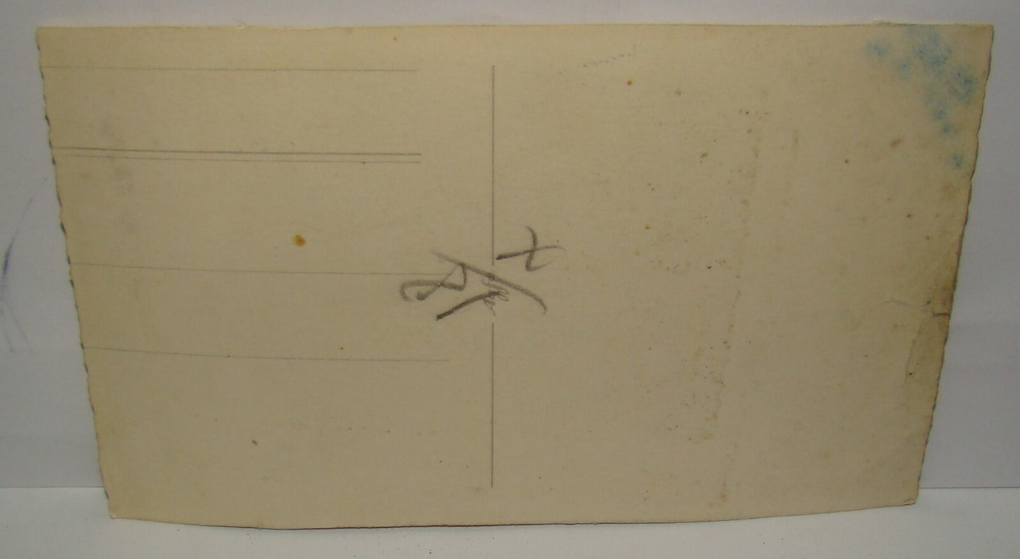 Photo Palestine Card Antique Bedouin Man With His Camel Postcard Desert ?