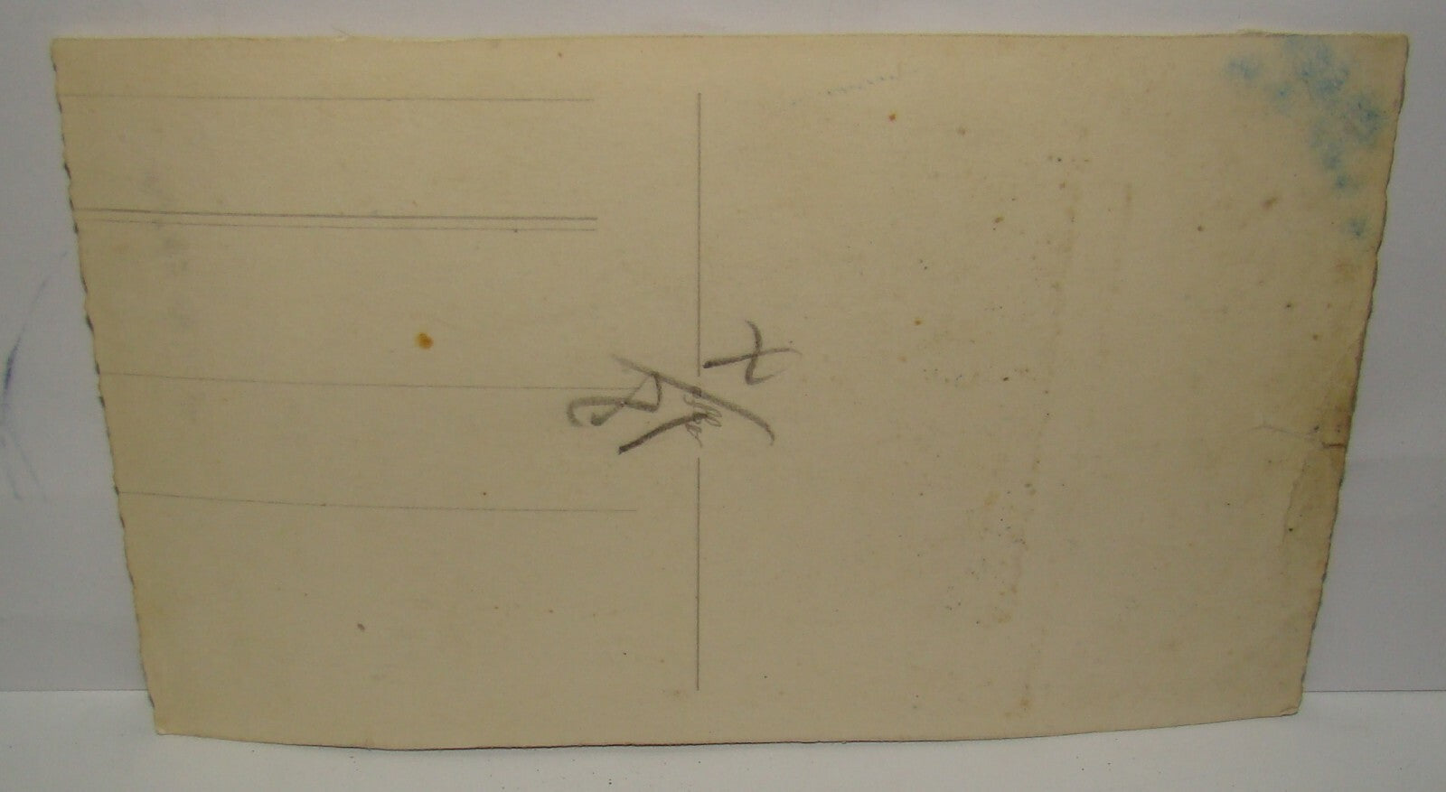 Photo Palestine Card Antique Bedouin Man With His Camel Postcard Desert ?