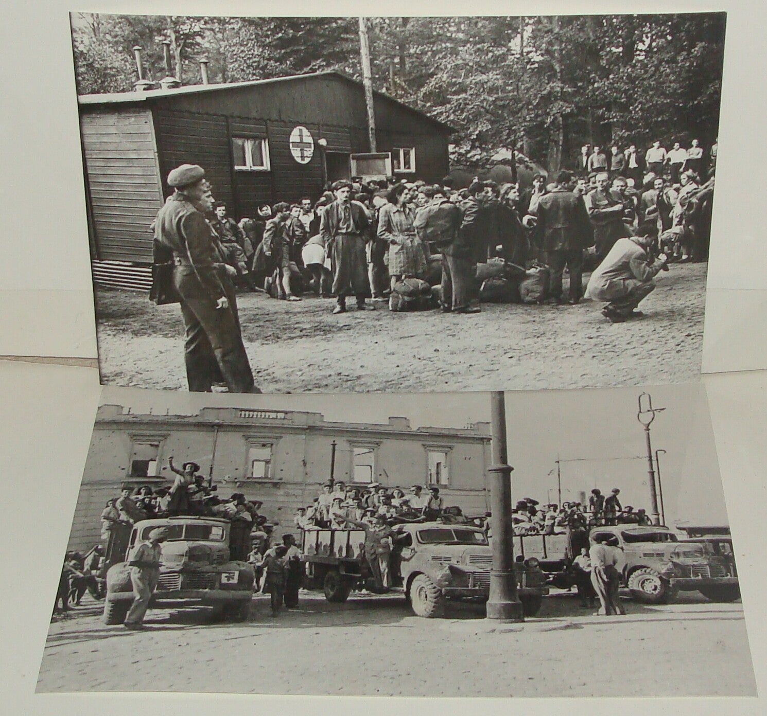 Photo Print, 1945 Jewish Judaica WWII Refugees BERIHA Survivors To Palestine x2