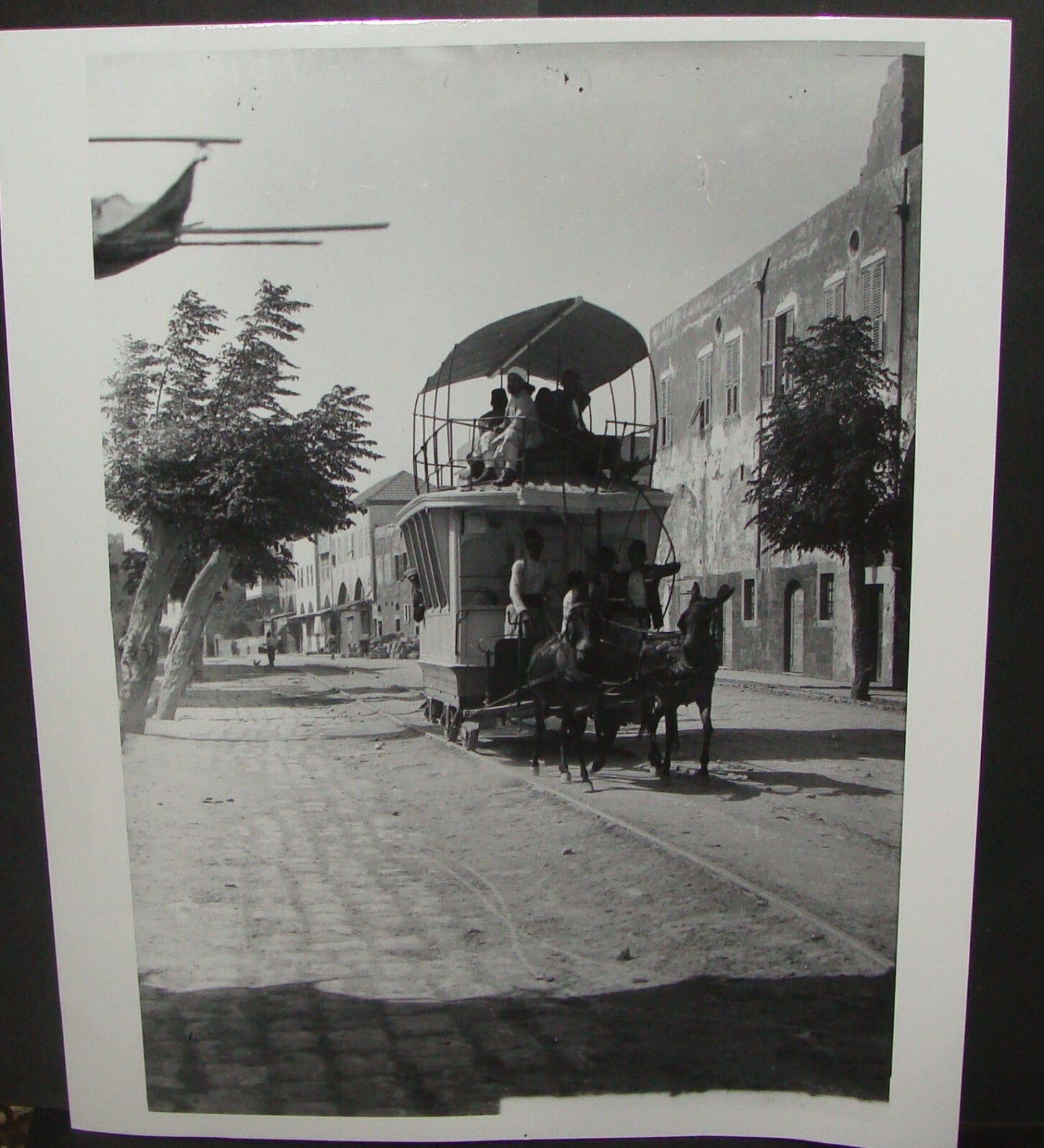 High Quality Matson Photo Print, 1900s Libya Tripoli Mule Drawn Tramcar