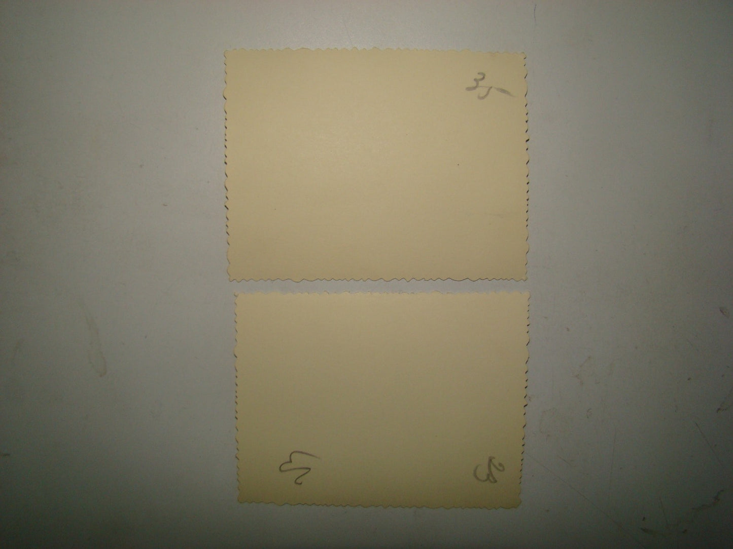 Photo Jewish bu hebrew israel vintage company transport HAMEKASHER