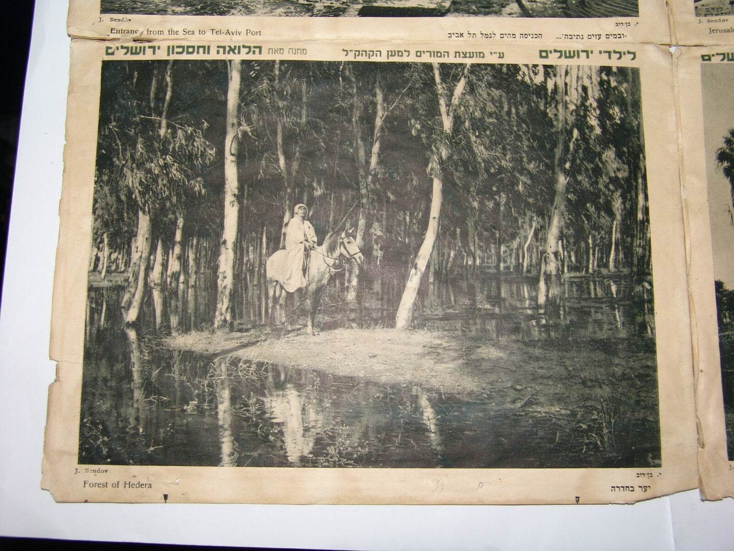 Photo Palestine Ad Jewish israel israeli Jerusalem Hadera Tel Aviv JNF KKL