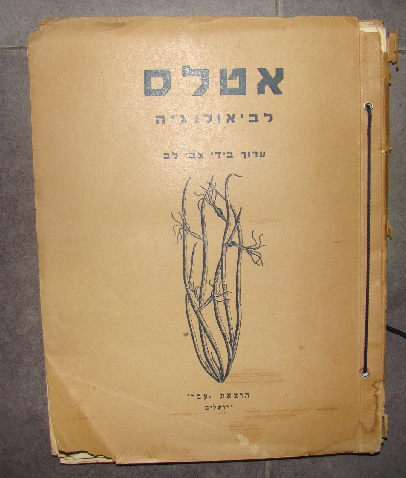 Book Jewish hebrew palestine eretz israel Biology Atlas by Ever Science Zvi Lev