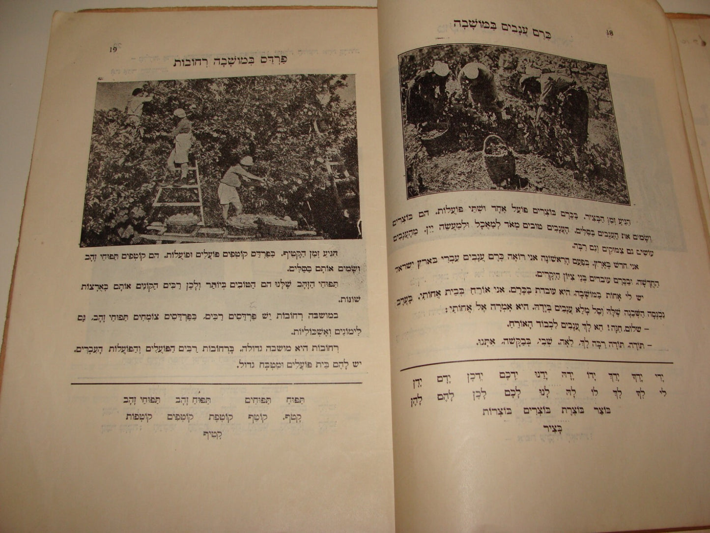 Book Jewish Judaica 1933 Palestine Israel Hebrew Language Kids Children ART