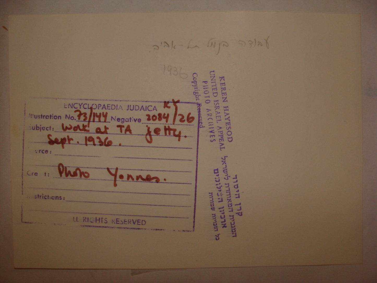 Photo Print, 1936 Palestine Israel TEL AVIV Port Workers Jewish Hebrew Judaica