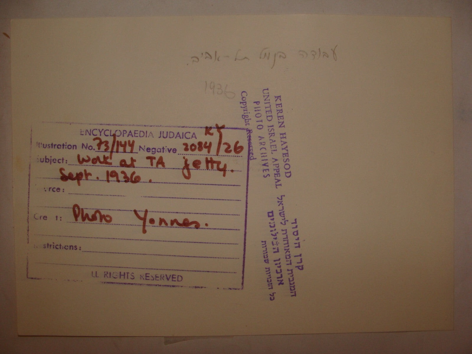 Photo Print, 1936 Palestine Israel TEL AVIV Port Workers Jewish Hebrew Judaica