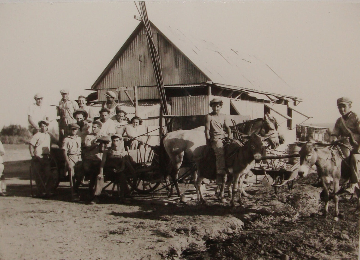Photo Print, 1938 Palestine Israel KIBBUTZ KFAR RUPPIN Jewish HASHOMER Hebrew