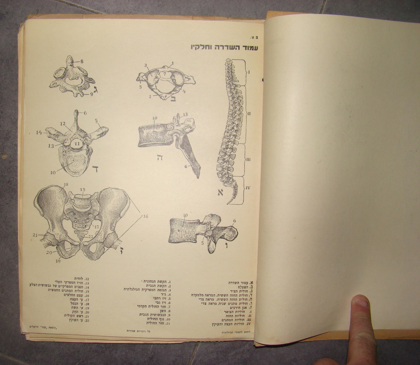 Book Jewish hebrew palestine eretz israel Biology Atlas by Ever Science Zvi Lev