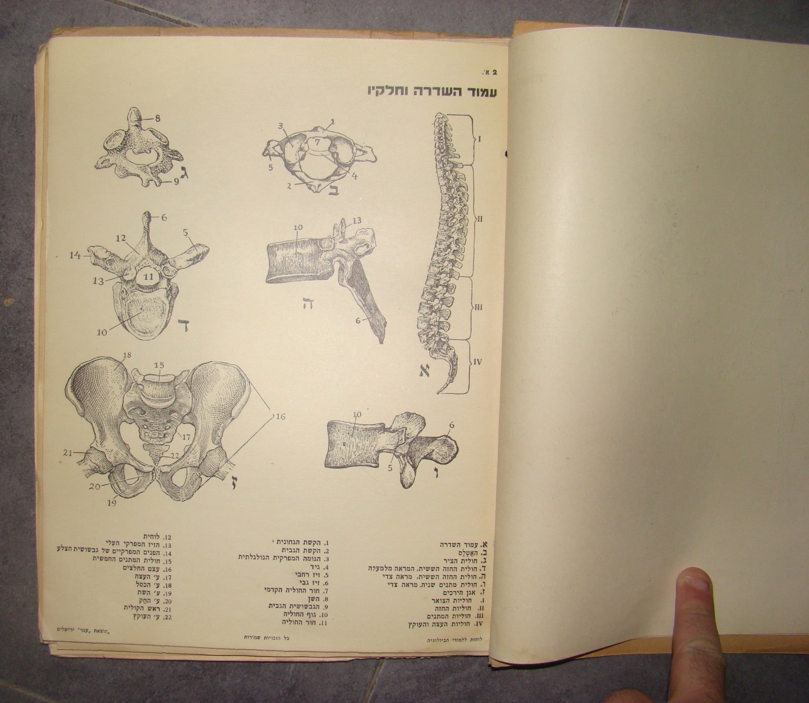 Book Jewish hebrew palestine eretz israel Biology Atlas by Ever Science Zvi Lev